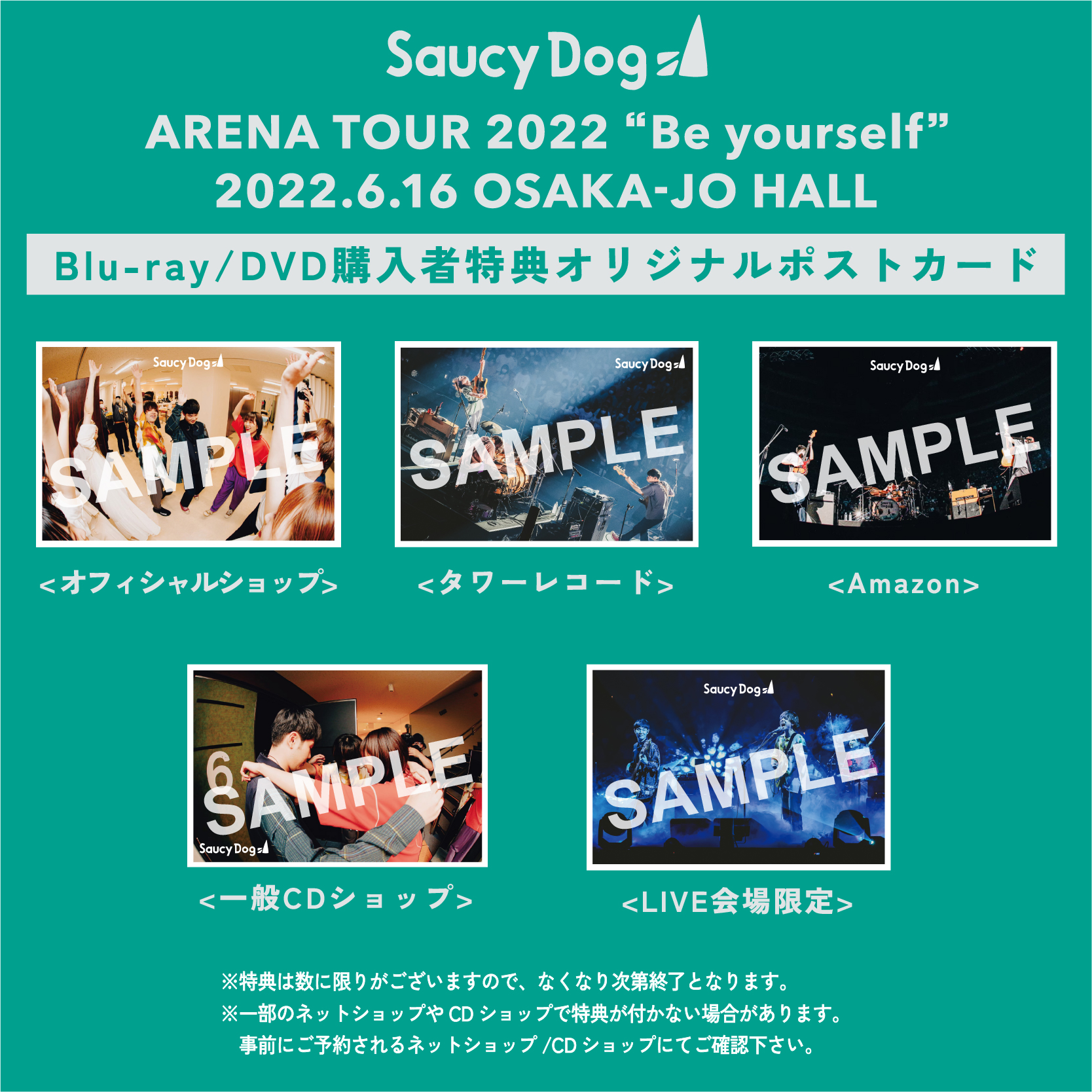 武道館特典7566円Saucy Dog saucy dog サウシー ライブ DVD - ミュージック