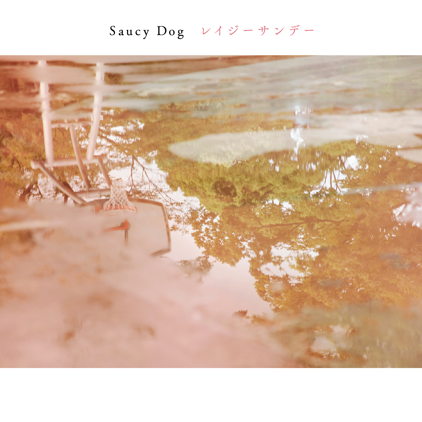 日水発売 5th mini Album 全貌公開｜Saucy Dog Official Site